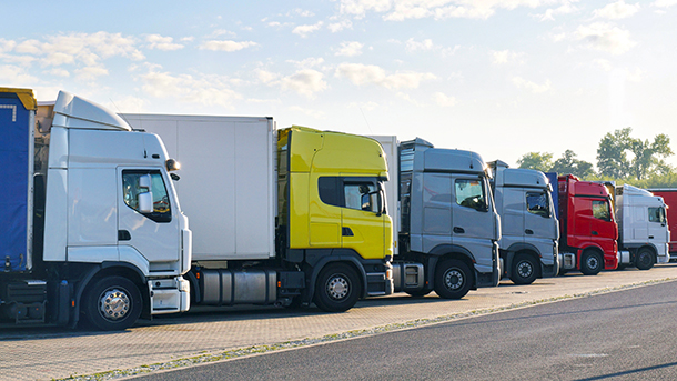 fleet of transport trucks